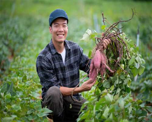 想把汽车变得更智能？试试福特派啦