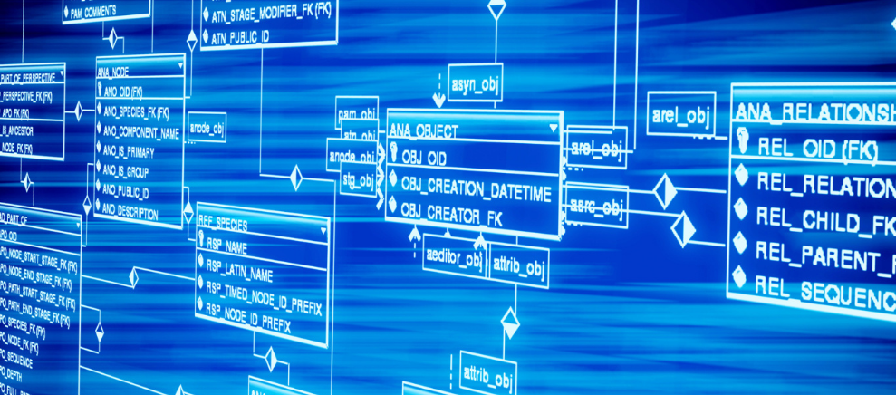试驾丨它曾是自主B级车王者 吉利2017款博瑞